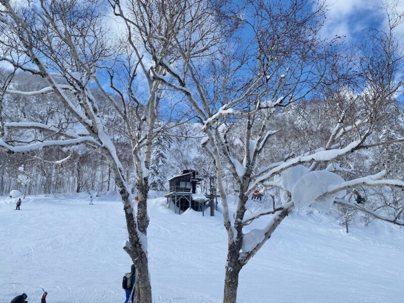 Furano, Hokkaido, Japan. Image © PlanetSKI